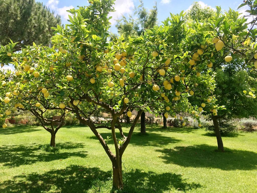 Villa Tina سانتا ماريا دي كاستيلاباتي المظهر الخارجي الصورة
