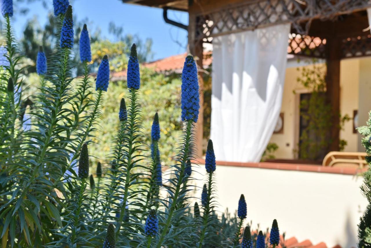 Villa Tina سانتا ماريا دي كاستيلاباتي المظهر الخارجي الصورة